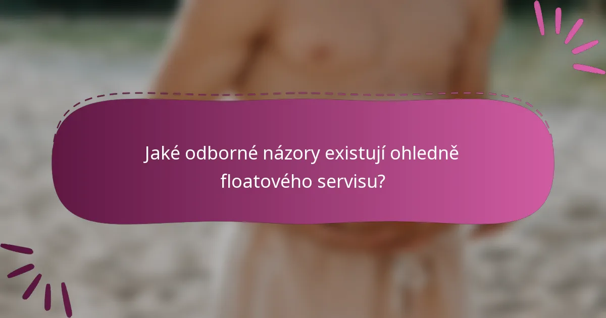 Jaké odborné názory existují ohledně floatového servisu?